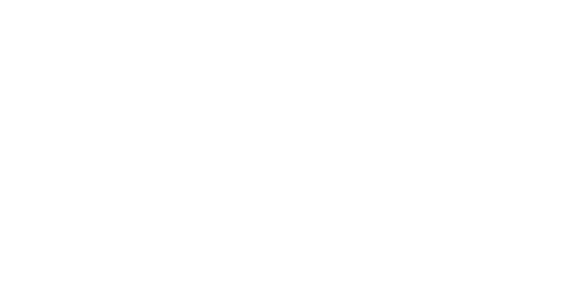 CANYON CLLCTV FACTORY TEAM