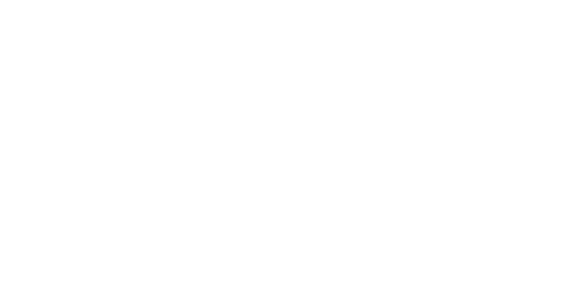 MONDRAKER FACTORY RACING DH