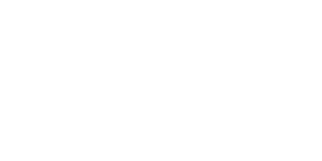 TREK FACTORY RACING DH