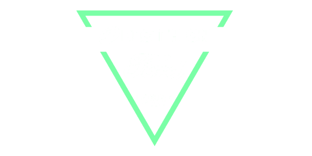 DECATHLON FORD RACING TEAM